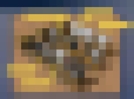 ceci n'est pas un mensonge