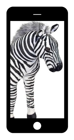 faux zebra