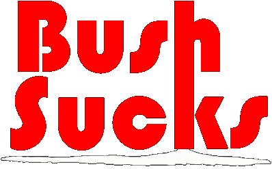 Anti-Bush, politics