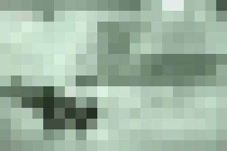 ceci n'est pas un mensonge