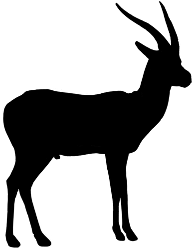 Gazelle