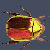 scarabee001